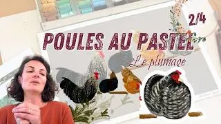Miniature : Comment peindre une poule au pastel ? Partie 2/4