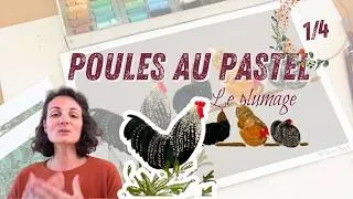 Miniature : Comment peindre une poule au pastel ? Partie 1/4