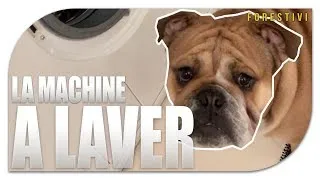 Miniature : ALBERT - LA MACHINE A LAVER