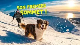 Miniature : Survivre au Grand Nord : Wendy, le chien le plus courageux d'Arctique