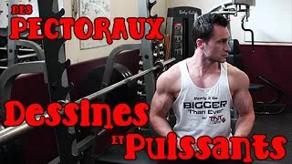 Miniature : #11 : Je veux des Pectoraux Dessinés et Puissants grâce aux pompes (1)