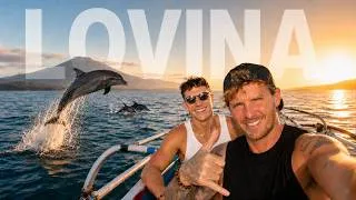 Miniature : J'ai nagé avec des dauphins sauvages à Bali !