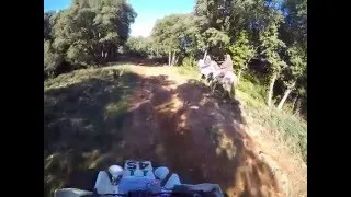 Miniature : [GOPRO HERO 4] Banshee 350 Full HD