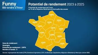 Miniature : 𝗙𝗨𝗡𝗡𝗬 : le blé tendre BPS VOp 2026 alliant rendement et PS très élevé