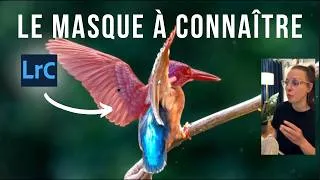 Miniature : La meilleure façon de Sélectionner un Sujet dans Lightroom