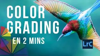Miniature : Comment Faire un Color Grading Rapide dans Lightroom