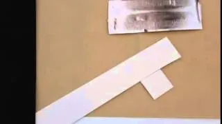 Miniature : Gâteau aux carottes spécial Floxiflux