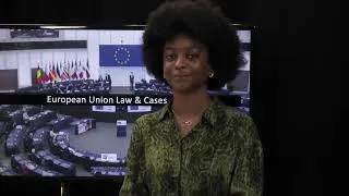 Miniature : Future of Europe Maelys Ky   Concept of safe country of origin and preservation of fundamental right