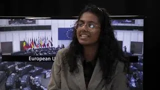 Miniature : Future of Europe  Sathananthan Sinthuja   Implications of the Mirin case