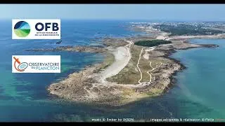 Miniature : Images aériennes dans la Baie de Quiberon pour l'Observatoire du Plancton et l'OFB