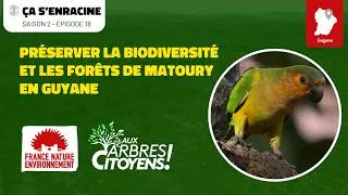Miniature : AAC - CA S'ENRACINE [EP17] - Préserver la biodiversité et les forêts de Matoury en Guyane