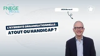 Miniature : L’hybridité organisationnelle : Atout ou handicap ?