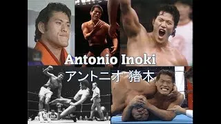 Miniature : Antonio Inoki; la vie et la carrière d'une légende
