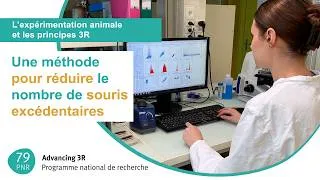 Miniature : PNR 79 – Advancing 3R : Une méthode pour réduire le nombre de souris excédentaires
