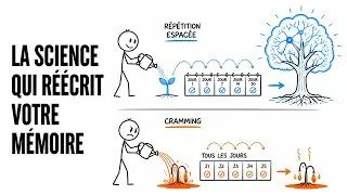 Miniature : Répétition Espacée: La science qui réécrit votre mémoire