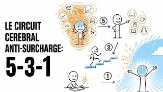 Miniature : Le Circuit Cérébral Anti-Surcharge: 5-3-1