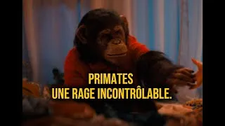 Miniature : Épisode 5 II PRIMATES II Focus Universe 
