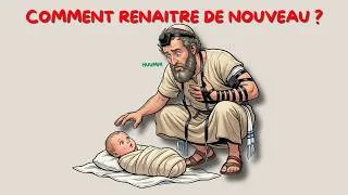 Miniature : ÊTRE NÉ DE NOUVEAU : CE QUE JÉSUS VOULAIT VRAIMENT DIRE (BEAUCOUP RATE CA)