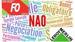 Miniature : 🎥 Facebook Live sur les NAO 2023