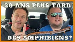 Miniature : 30 ans plus tard, y a-t-il encore des amphibiens?
