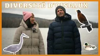 Miniature : Les oiseaux du lac des Nations (Sherbrooke)