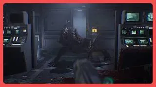Miniature : QUEL JEU MAGNIFIQUE ET EFFRAYANT | Species: Unknwon [Longue]