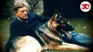 Miniature : Jean-Pierre Hutin : 30 ans après, l’héritage du fondateur de 30 Millions d’Amis