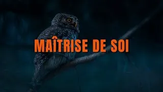 Miniature : La Mentalité du Hibou : Le Pouvoir du Silence et de la Sagesse Intérieure