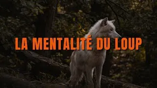Miniature : La Mentalité du Loup : Deviens Inarrêtable