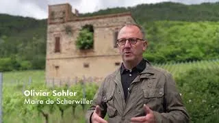 Miniature : Voyage au cœur du patrimoine 2026 - Le pavillon des vignes à Scherwiller