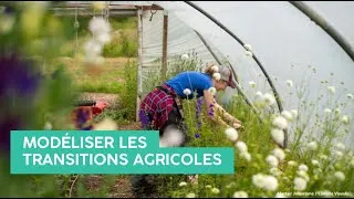 Miniature : Modéliser les transitions agricoles - Avenir Commun Durable