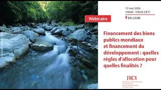 Miniature : Financement des biens publics mondiaux et financement du développement
