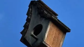 Miniature : La Nature du Bien-Être