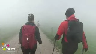 Miniature : ALPA X EN PASSANT PAR LA MONTAGNE   Témoignage #1