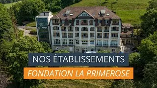 Miniature : Vue aérienne des établissements de la Fondation La Primerose