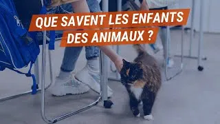 Miniature : Quelles sont les connaissances des enfants sur les animaux ? Reportage en école avec la LFDA