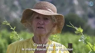 Miniature : Le pari de l’excellence de Dominique, vigneronne de l’année