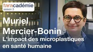 Miniature : Visioconférence taracadémie S3 | Nano et microplastiques en santé humaine par Muriel Mercier-Bonin
