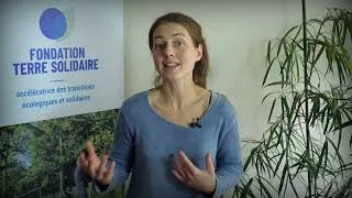 Miniature : Une écologie ordinaire dans les quartiers populaires