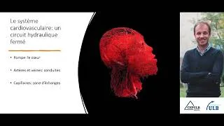 Miniature : La recherche en biomécanique cardiovasculaire - Nicolas Baeyens - Université libre de Bruxelles