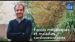 Miniature : Forces mécaniques et maladies cardiovasculaires - Nicolas Baeyens