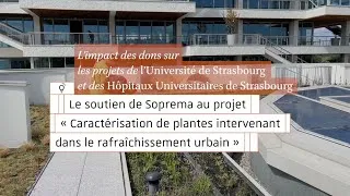 Miniature : Soprema et le projet « Caractérisation de plantes intervenant dans le rafraichissement urbain »