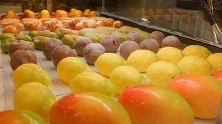 Miniature : Inside a French Bakery: Making 7 Hyper-Realistic Illusion Pastries (Trompe-l'œil ASMR)