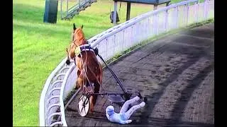 Miniature : Les risques du métier. Pas évident d’être un cheval ou un joker….