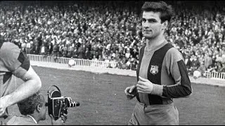 Miniature : Sándor Kocsis ● The Man with the Golden Head [Wild Goal Show]