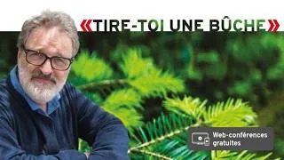 Miniature : « 10 ans d’observations hydrométéorologiques à la Forêt Montmorency »