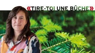 Miniature : « Le climat boréal comme banc d’essai pour les matériaux biosourcés »
