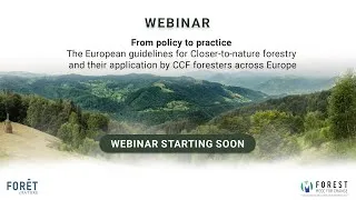 Miniature : From policy to practice: European guidelines for closer-to-nature forestry and their application