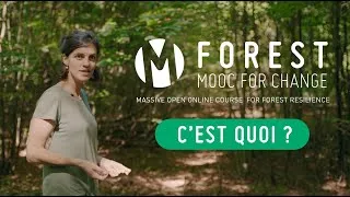 Miniature : Le ForestMoocForChange, c'est quoi ?