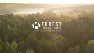 Miniature : ForestMoocForChange : cours en ligne gratuit sur la sylviculture mélangée à couvert continu (SMCC) !